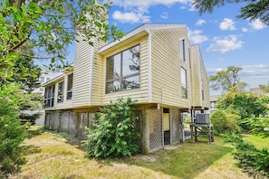 Back Elevation