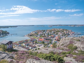 Utsikt från luften