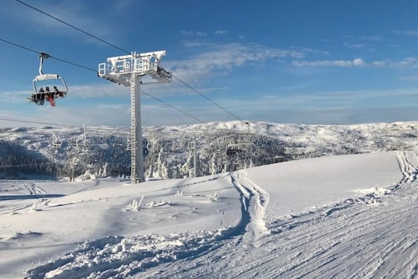 SkidÄkning och snöaktiviteter