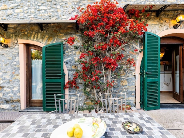 Meubles, Table, Tableau De Plein Air, Mobilier De Jardin, Chaise, Jardin, Ombre, Pot De Fleur, Aménagement Paysager, Table Cuisine Et Salle A Manger