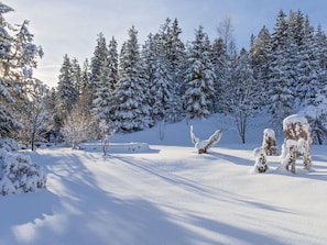 Schnee, Winter, Ast, Baum, Einfrieren, Geologisches Phänomen, Frost, Wald, Lärche