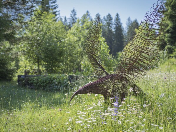Ground, Garten, Rasen-Verzierung, Botanischer Garten
