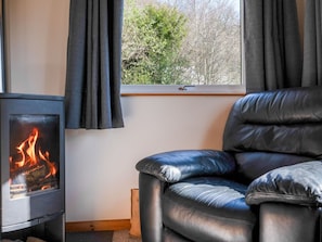Möbel, Flooring, Feuerstelle, Fussboden, Holzofen, Haushaltsgerät, Zimmer, Holzbeize, Wohnzimmer, Hartholz