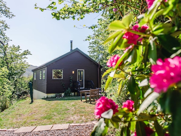 Gras, Strauch, Haus, Hütte, Zuhause, Ländliches Gebiet, Grundstueck, Ground, Garten, Gartenbauten