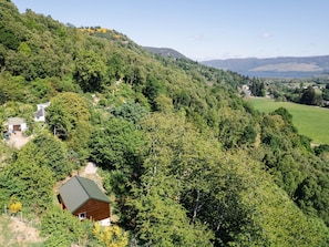 Baum, Natürlichen Umgebung, Natur, Vegetation, Natürliche Landschaft, Landschaft, Ländliches Gebiet, Strauch, Hochland, Pflanzengemeinschaft