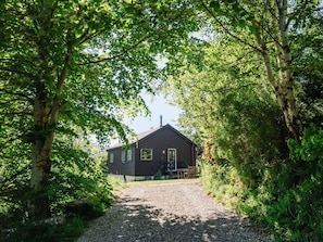 Gras, Strauch, Hütte, Haus, Zuhause, Ländliches Gebiet, Ground, Garten, Gartenbauten