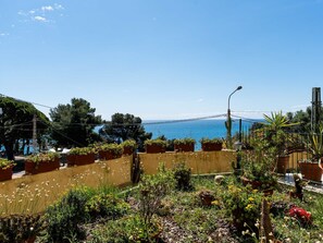 Bleu, Feuille, Végétation, Arbuste, Mer, Océan, Jardin, Côte, Ombre
