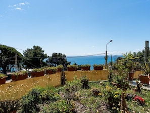 Bleu, Feuille, Végétation, Arbuste, Mer, Océan, Jardin, CÎte, Ombre