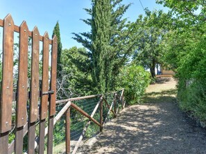 Holz, Strauch, Zaun, Weg, Garten, Home Fechten, Walkway, Schatten, Landscaping