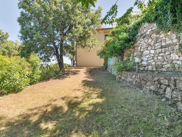 Strauch, Garten, Steinwand, Hinterhof, Landscaping
