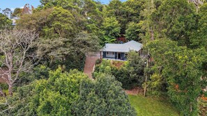 Golden glow & mountain mist — your wattle-wrapped hideaway in the heart of Maleny.