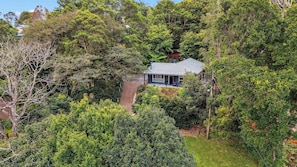 Golden glow & mountain mist — your wattle-wrapped hideaway in the heart of Maleny.