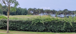 Övrigt
