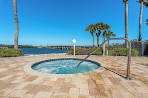 Hot tub is great place for dolphin spotting