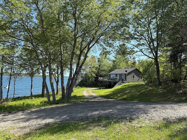 Exteriör