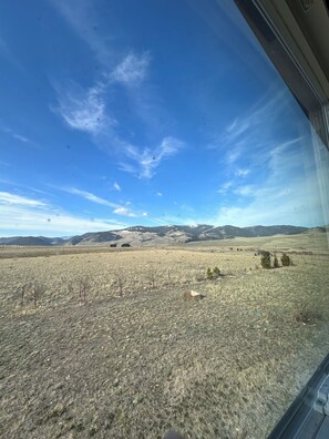 View from property