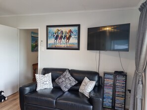 Living Area/TV/DVD Collection