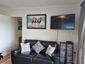 Living Area/TV/DVD Collection