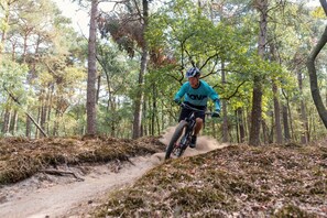 Direkte Umgebung [Sommer] (&lt;1 km)