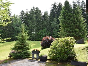 Leaf, Green, Shrub, Garden, Woody Plant, Landscaping, Larch, Lawn, Botanical Garden