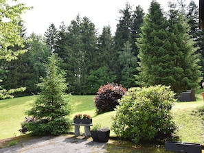Leaf, Green, Shrub, Garden, Woody Plant, Landscaping, Larch, Lawn, Botanical Garden