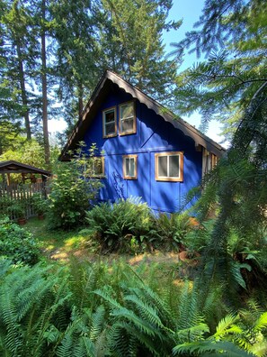 Exterior and Back Yard