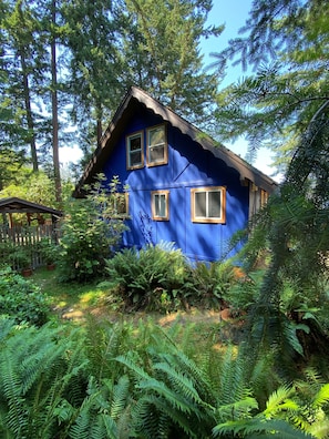 Exterior and Back Yard
