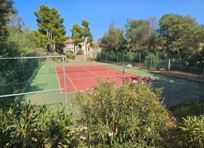 Sport court