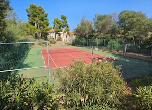 Sport court