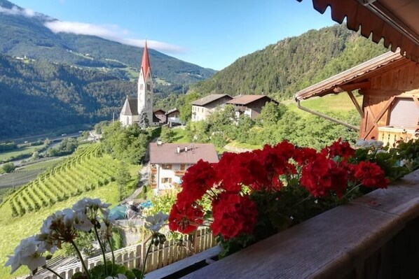 Vue depuis l’hébergement