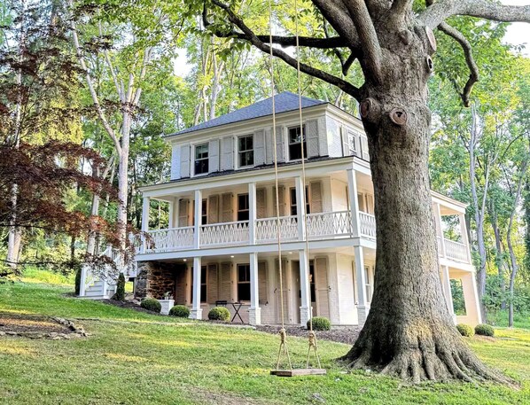 Our classic tree swing hangs from one of the largest Magnolia trees in the state