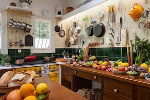 Come play in this historic kitchen!