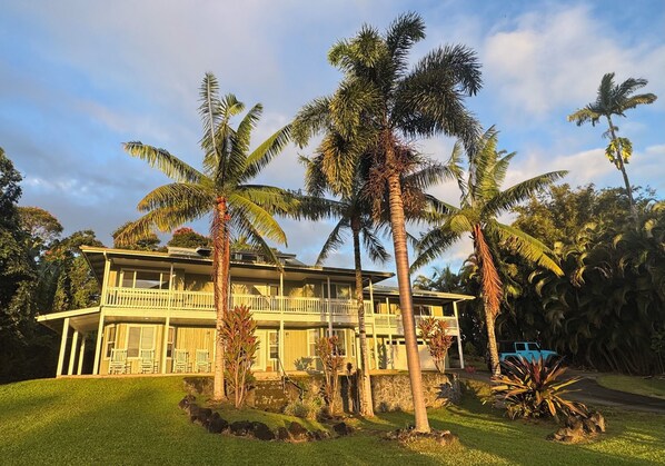 Sunrise in Hakalau