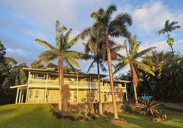 Sunrise in Hakalau