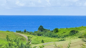 Breathtaking ocean views from the 3 br villa and lanai!