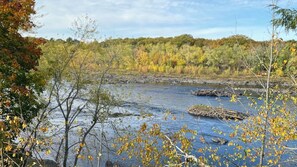 IMG_8870