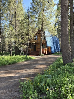 Exterior of the cabin with summer wildflowers.