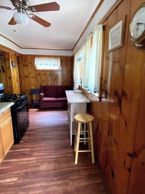 Kitchen/Living Room
