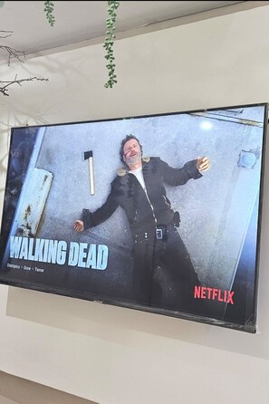 Television