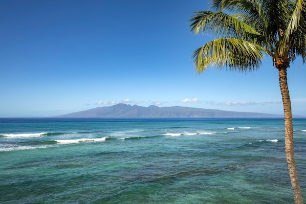 LOK-B201 Let nature host your next meal?this lanai offers panoramic peace you can taste, hear, and feel