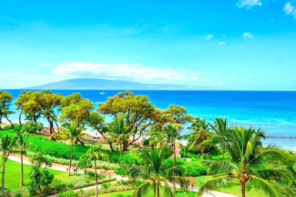 HKK-820 Heaven has rooftops and palm trees