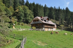 Extérieur