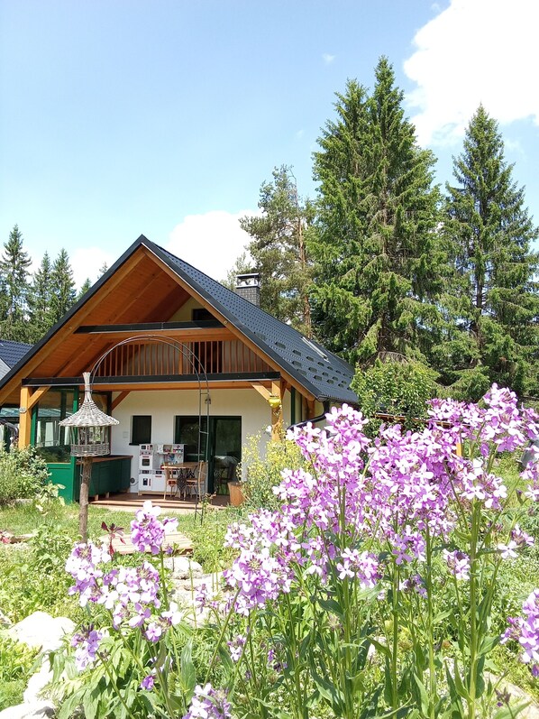 Extérieur