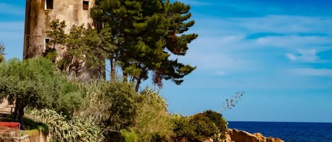 Jardin, Mobilier De Jardin, Recours, Ombre, Loisir, Pelouse, Eco HÎtel, Aménagement Paysager, Tente, Parc
