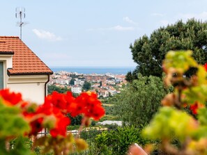 Sky, Flower, Spring, Garden, Rose Family