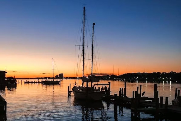 Palm Court Yacht Club Marina
