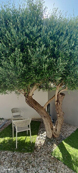 Terrasse/gårdhave