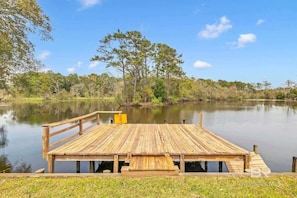 Watch the Manatee from the dock!
