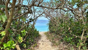 Passing through the Pandanus trees, you will reach Uttabaru Beach.