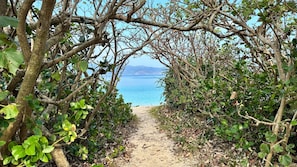 Passing through the Pandanus trees, you will reach Uttabaru Beach.